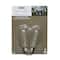 Creative Collection™ ST12 Shimmer Lights Edison Replacement Bulb Pack by Ashland™
